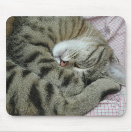 Mousepad Posição Adormecida de Gato
