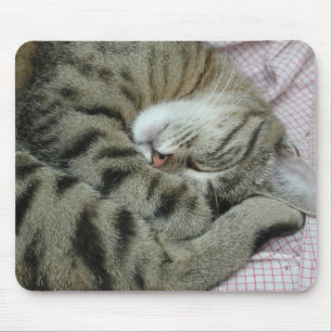 Mousepad Posição Adormecida De Gato