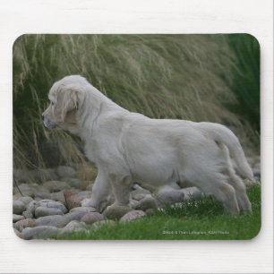 Mousepad Posição do filhote de cachorro do golden retriev