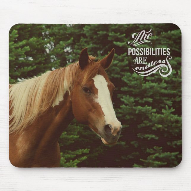 Mousepad Possibilidades Sem Fim Paint Horse Mare (Frente)