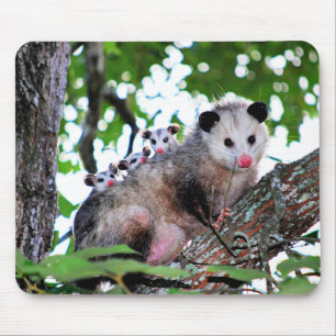 Mousepad Possum, mamãe e bebês