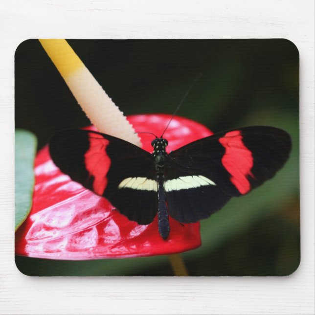 Mousepad Postman Butterfly (Frente)