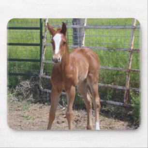 Mousepad Potro adorável