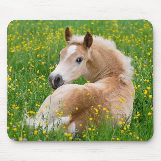 Mousepad Potro bonito em um Flowerbed, fonte do cavalo de (Frente)