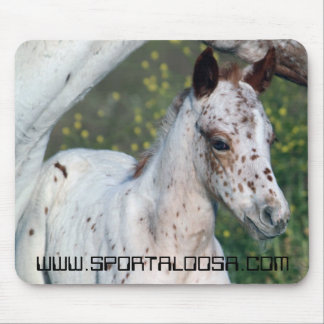 Mousepad Potro do leopardo