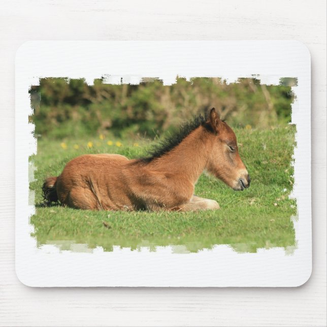 Mousepad Potro que descansa no tapete do rato da grama (Frente)