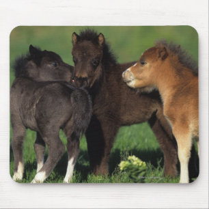 Mousepad Potros 1 da miniatura