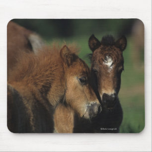 Mousepad Potros 2 da miniatura