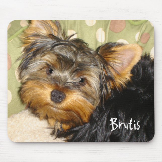Mousepad Pouco tapete do rato de Yorkie (Frente)