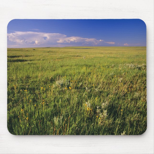 Mousepad Pradaria de grama curta no remoto nordeste (Frente)