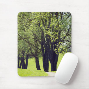 Mousepad Prado bonito