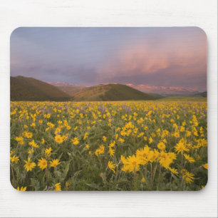 Mousepad Prado de flores silvestres espetacular ao nascer d