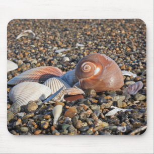 Mousepad praia, conchas, oceano