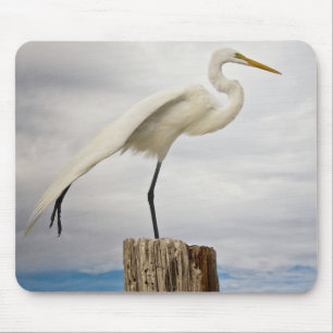 Mousepad Praia talentoso do Egret Fort Myers, Florida