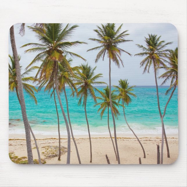 Mousepad Praia Tropical de Cavalo com Palmeiras (Frente)
