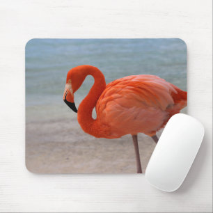 Mousepad Praias Tropicais Caribe Flamingo, Aruba
