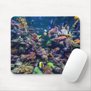 Mousepad Praias Tropicais   Coral submarino