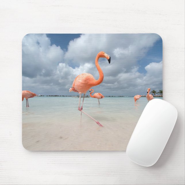 Mousepad Praias Tropicais | Flamingos Beach, Aruba (Com mouse)