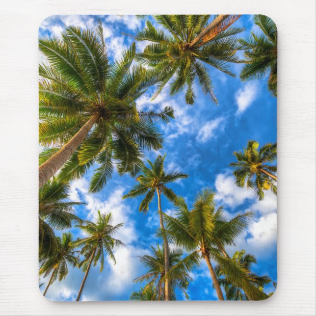 Mousepad Praias Tropicais | Palmeiras sobre o céu azul (Frente)