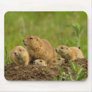 Mousepad Prairie Dog Family on Den