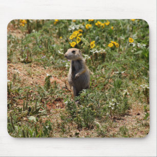 Mousepad Prairie Dog Solo