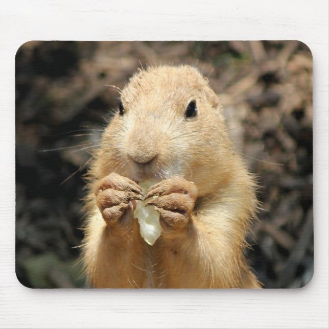 Mousepad Prairie Dog tendo um lanche (Frente)