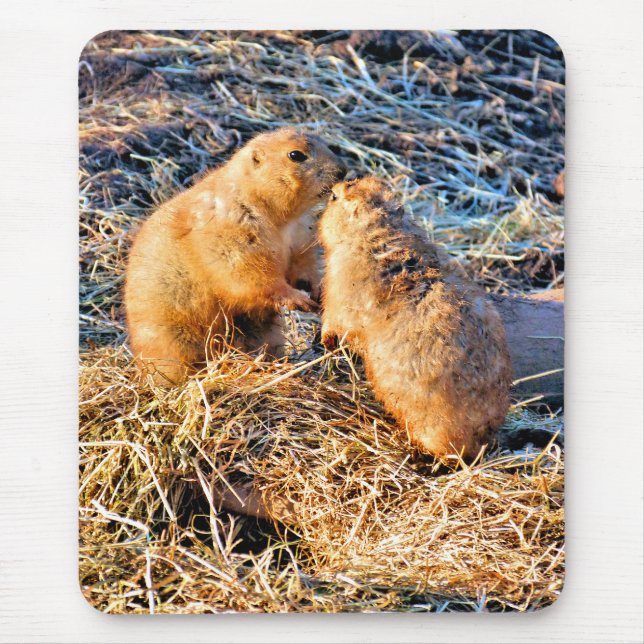 MOUSEPAD PRAIRIE DOGS (Frente)