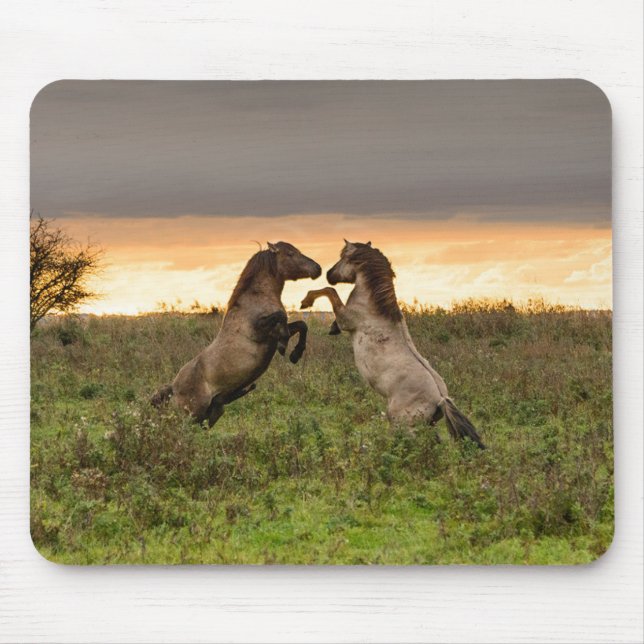 Mousepad Prancing dos cavalos selvagens (Frente)