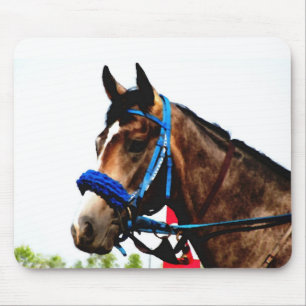 Mousepad Prato-de-cavalo