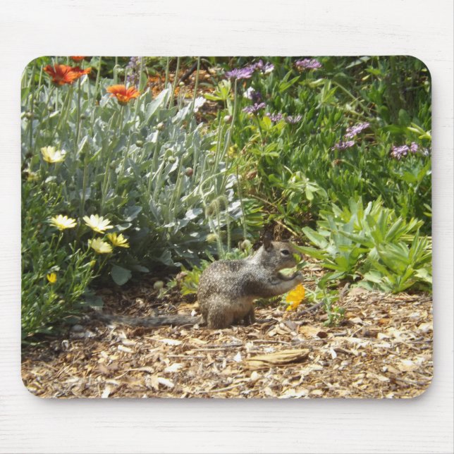 Mousepad Prato de esquilo e flores silvestres (Frente)