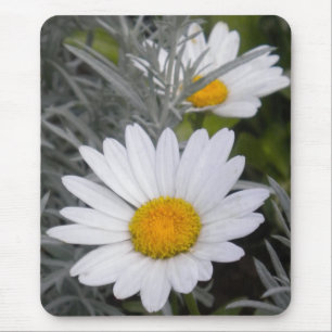 Mousepad Prato de margarida branca