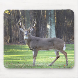 Mousepad Prato de veado branco