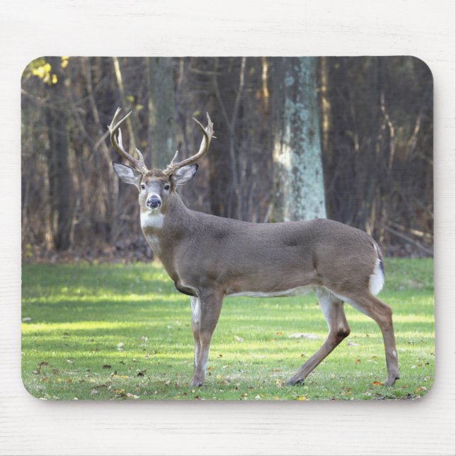 Mousepad Prato de veado branco (Frente)