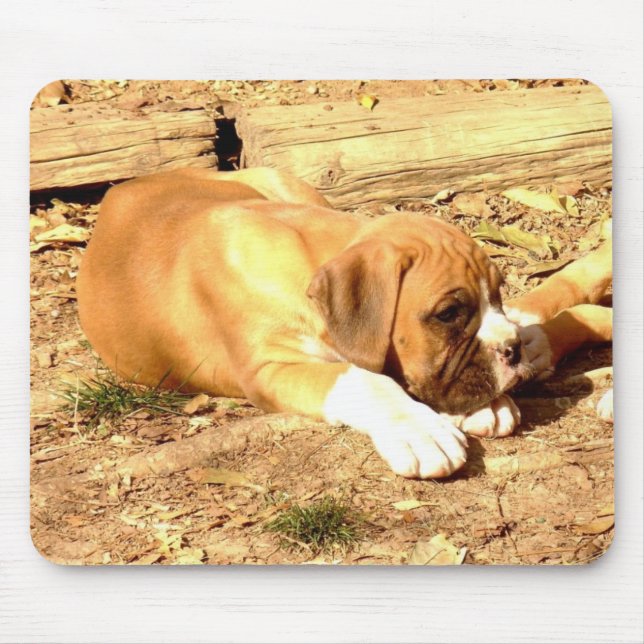 Mousepad Prato-do-cachorro-boxer (Frente)