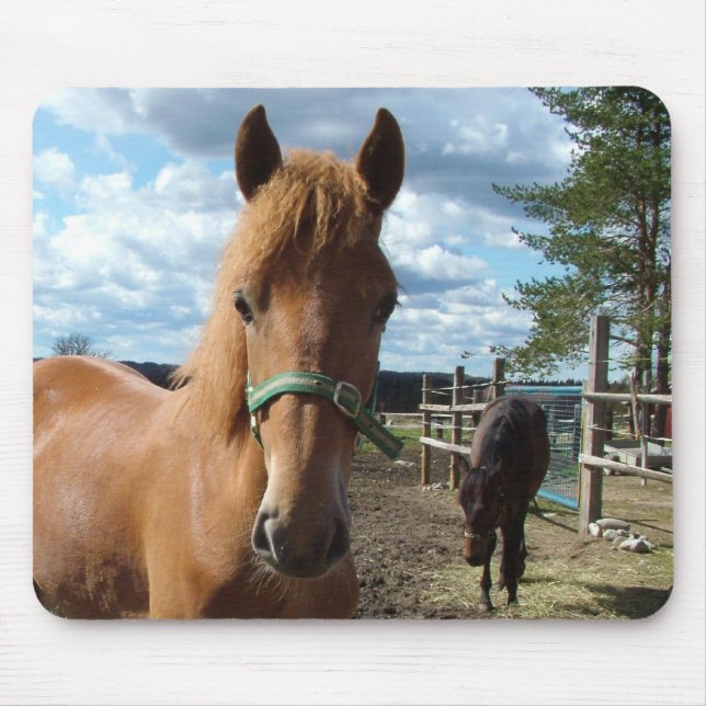 Mousepad Prato-do-cavalo (Frente)