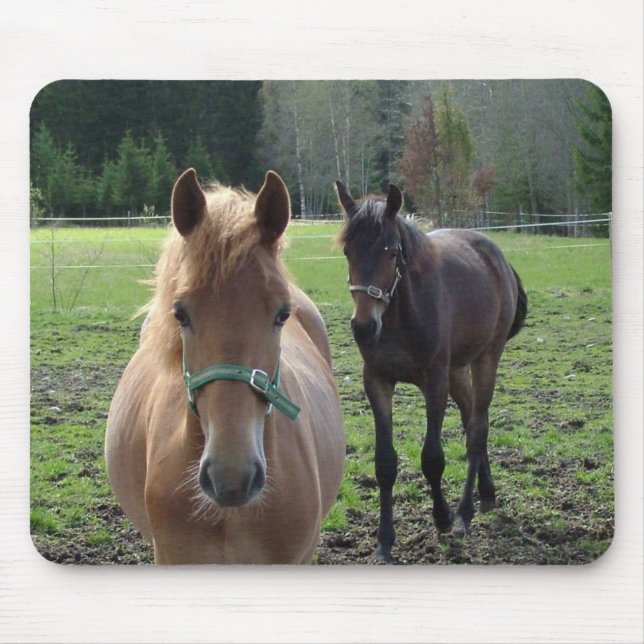 Mousepad Prato-do-cavalo (Frente)