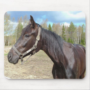 Mousepad Prato-do-cavalo