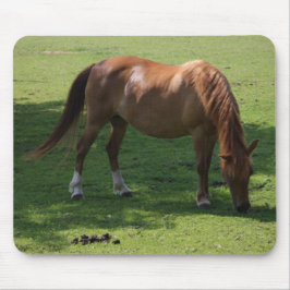 Mousepad Prato-do-cavalo marrom