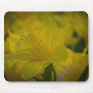 Mousepad Prato-do-rato-amarelo