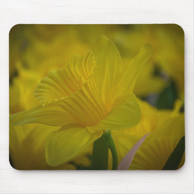 Mousepad Prato-do-rato-amarelo (Frente)