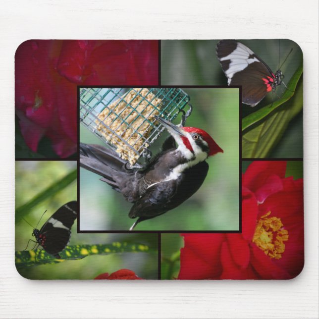 Mousepad Prato-pica-pau pileado (Frente)
