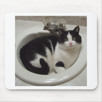 Mousepad Prazer dos amantes do gato