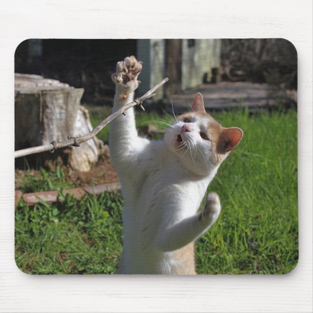 Mousepad Predador feroz (Frente)