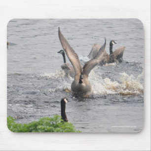 Mousepad Preening Canada Geese & Water Willife
