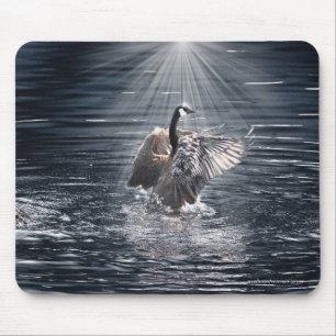 Mousepad Preening Canada Goose & Water Willife