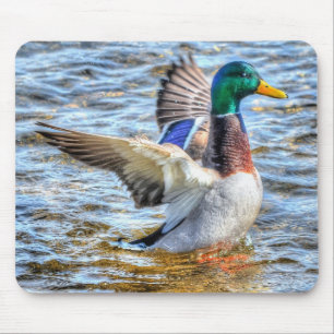 Mousepad Preening Mallard Duck Birdlover Wildlife