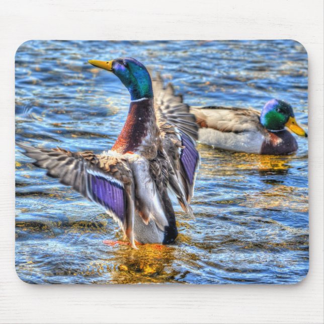 Mousepad Preening Mallard Duck Birdlover Wildlife (Frente)