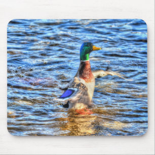 Mousepad Preening Mallard Duck Birdlover Wildlife