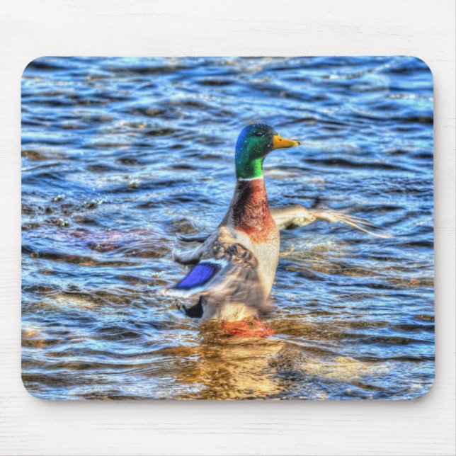 Mousepad Preening Mallard Duck Birdlover Wildlife (Frente)