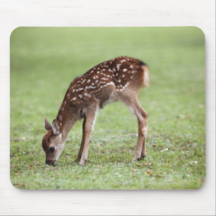 Mousepad Prefeitura de Nara, Honshu, Japão